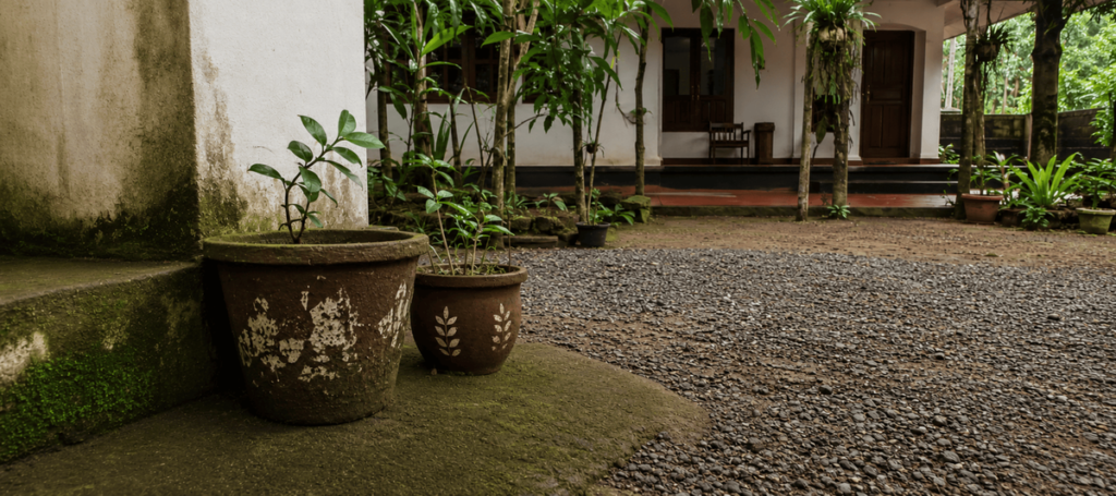After termite treatment